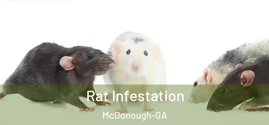 Rat Infestation McDonough-GA