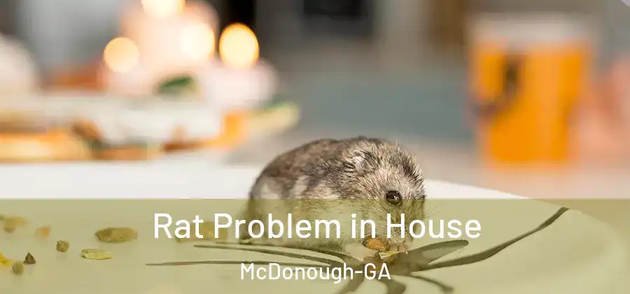 Rat Problem in House McDonough-GA
