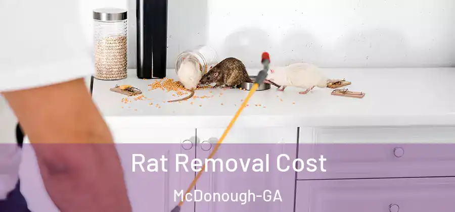  Rat Removal Cost McDonough-GA