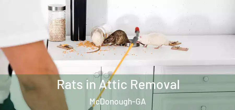  Rats in Attic Removal McDonough-GA