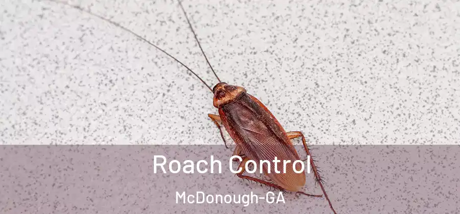 Roach Control McDonough-GA