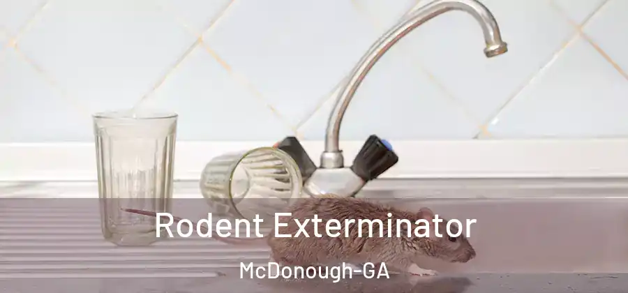 Rodent Exterminator McDonough-GA