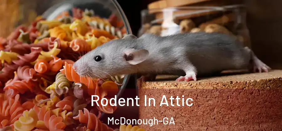 Rodent In Attic McDonough-GA
