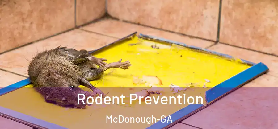 Rodent Prevention McDonough-GA