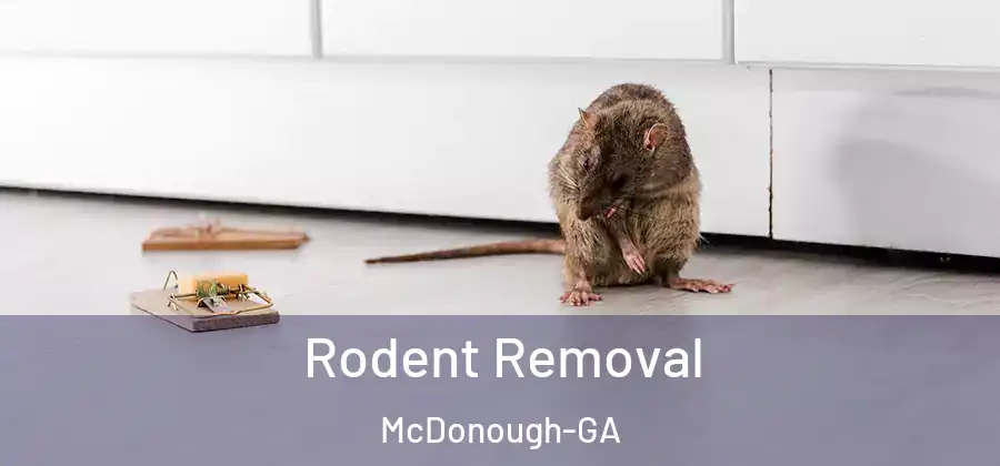  Rodent Removal McDonough-GA