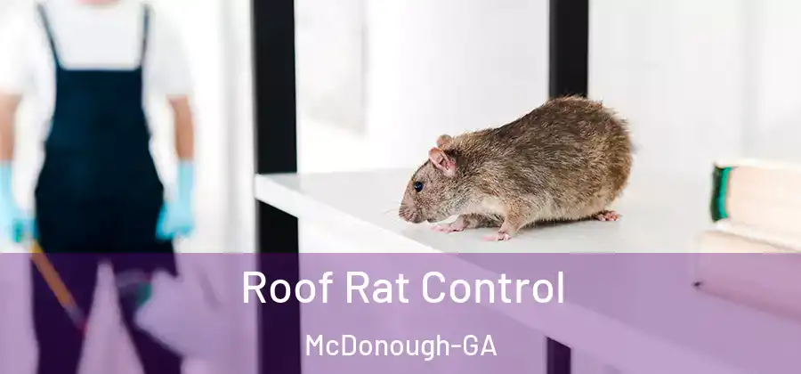  Roof Rat Control McDonough-GA
