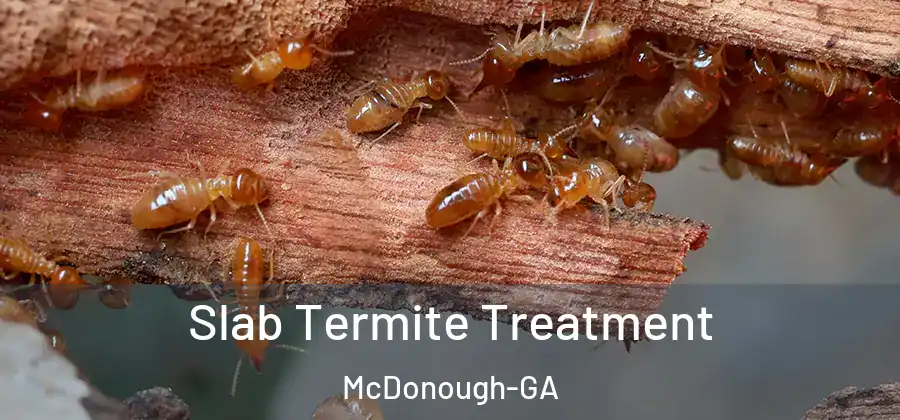 Slab Termite Treatment McDonough-GA