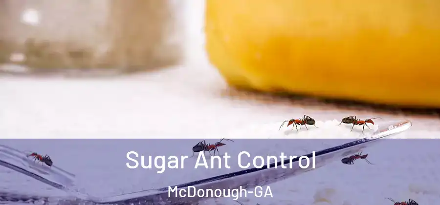 Sugar Ant Control McDonough-GA