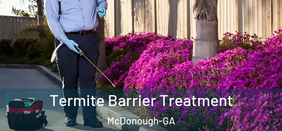 Termite Barrier Treatment McDonough-GA