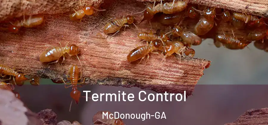  Termite Control McDonough-GA