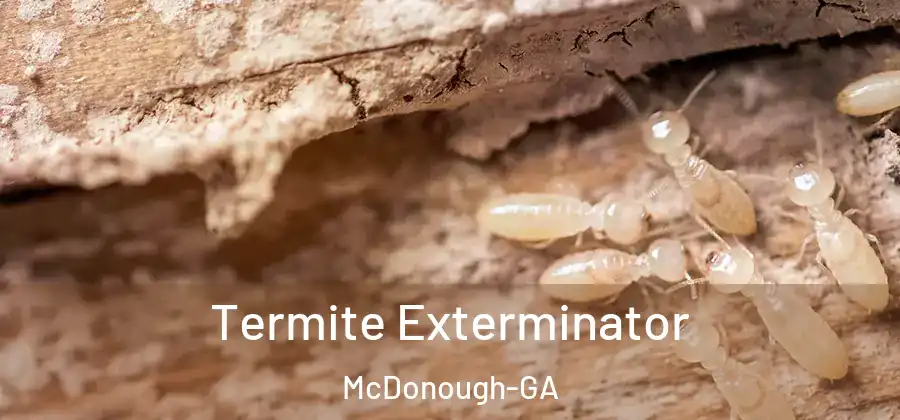 Termite Exterminator McDonough-GA