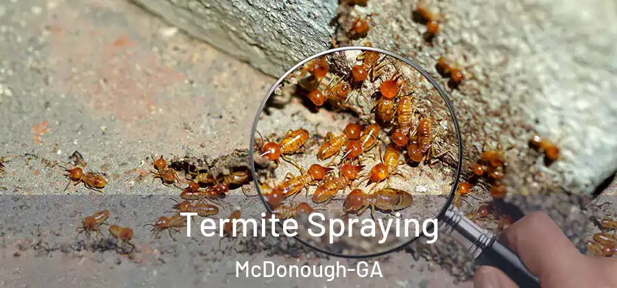 Termite Spraying McDonough-GA