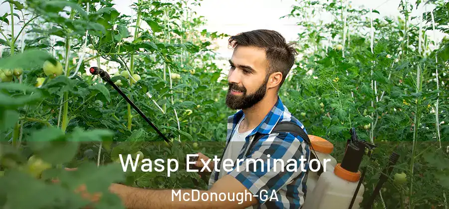 Wasp Exterminator McDonough-GA