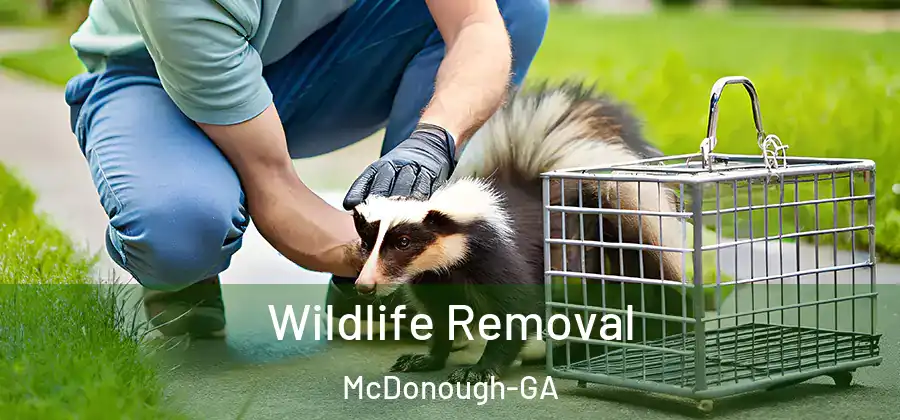  Wildlife Removal McDonough-GA