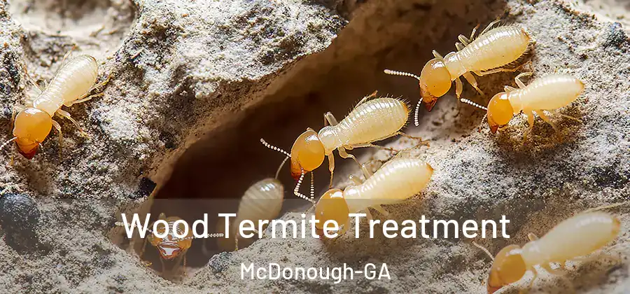  Wood Termite Treatment McDonough-GA