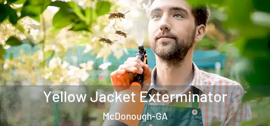 Yellow Jacket Exterminator McDonough-GA