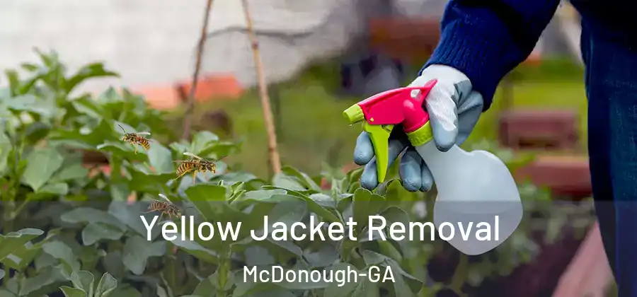Yellow Jacket Removal McDonough-GA